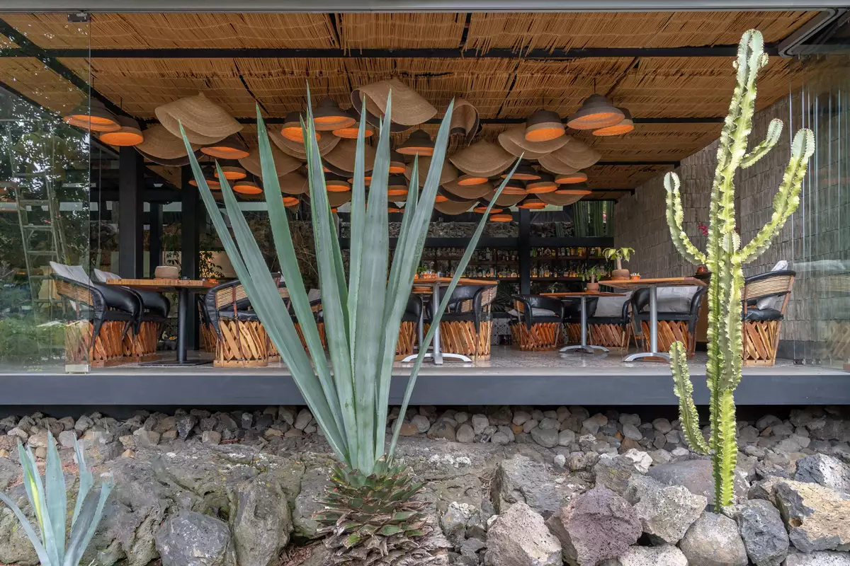 En Mesa de origen el consumo local es una de sus bases principales