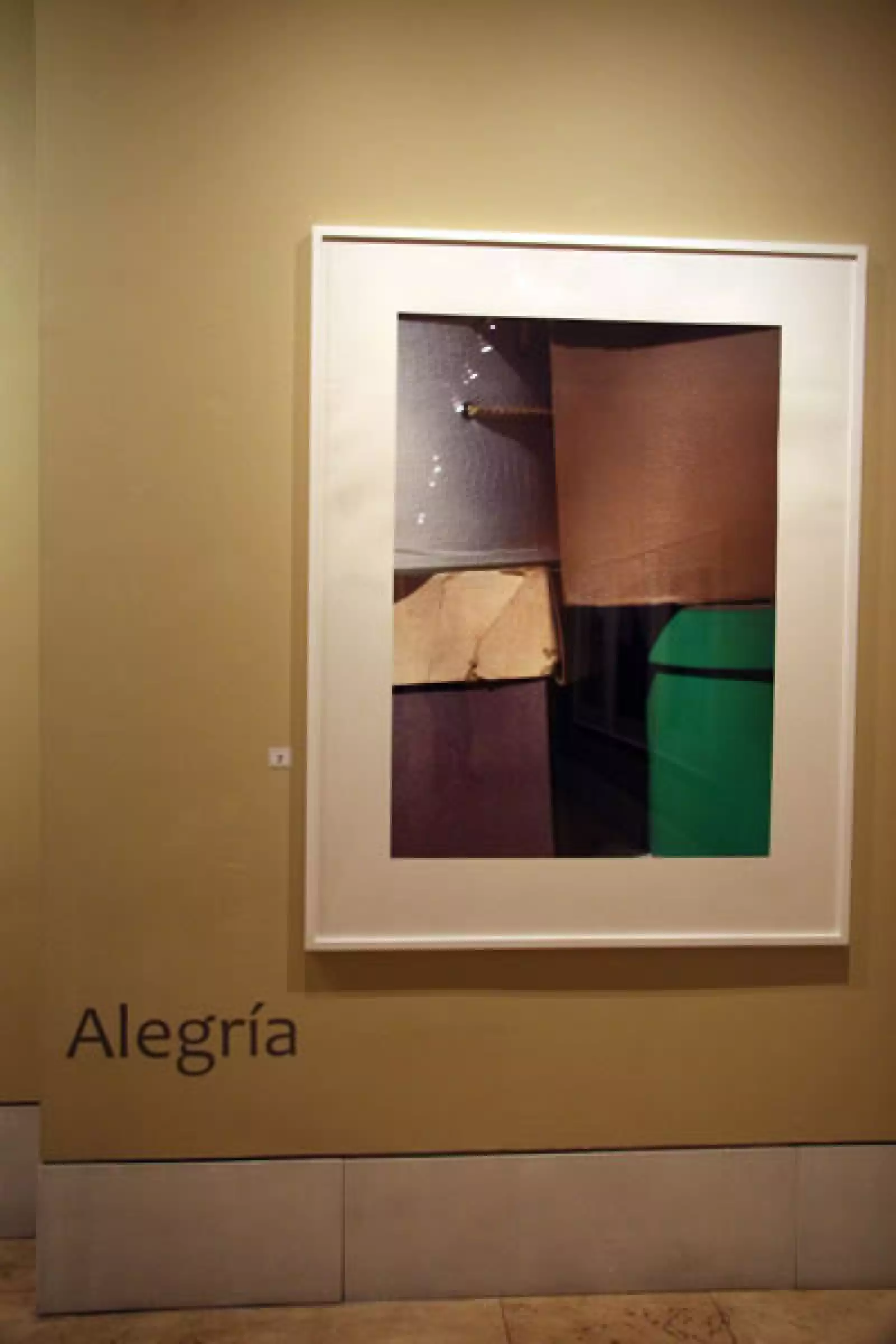 Exposición Carla Aparicio.