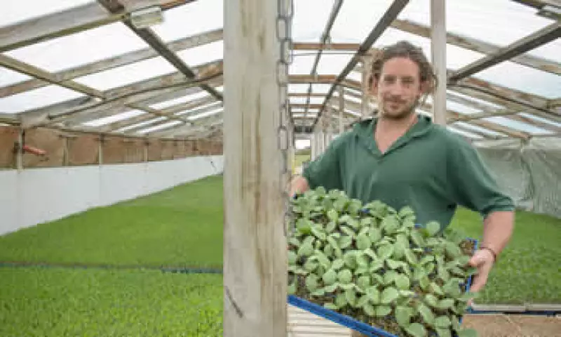 La relación entre una gran empresa y pequeños productores debe ir más allá de una visión de responsabilidad social. (Foto: iStock by Getty Images.)
