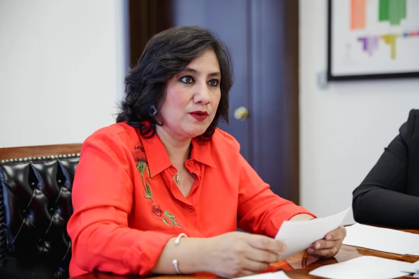 Irma Eréndira Sandoval.jpg