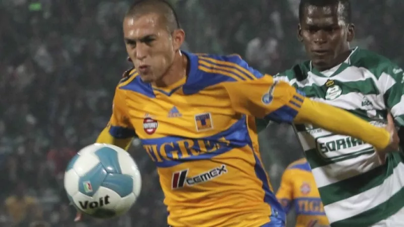 tigres