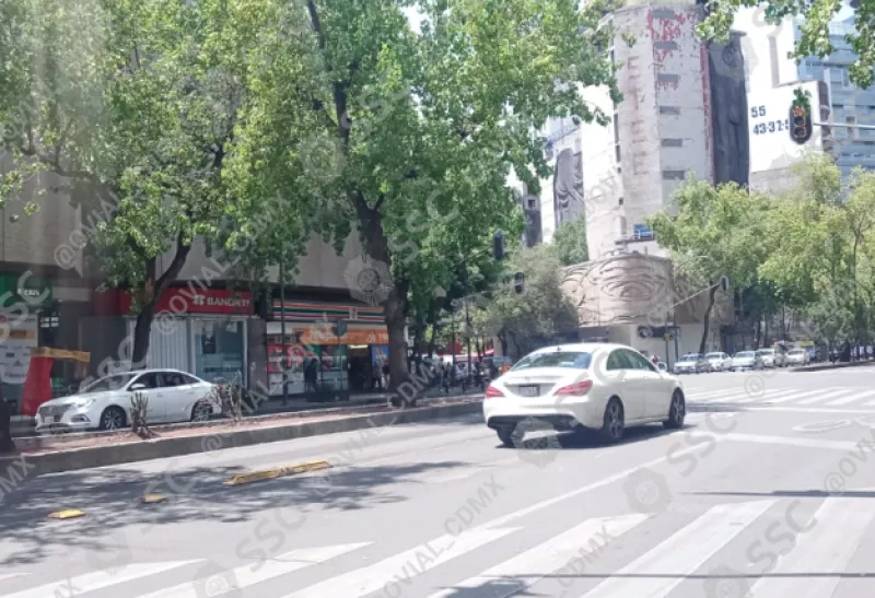avenida-reforma-buen-avance-.png