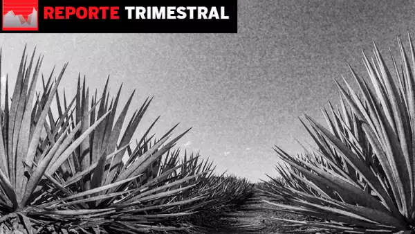 Cuervo reporte financiero.