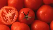 Tomates