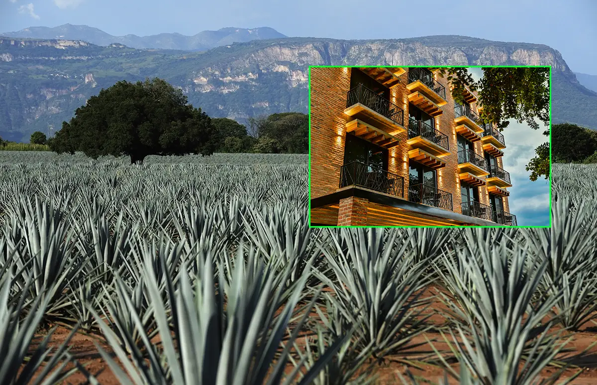 Tequila_destacada.jpg