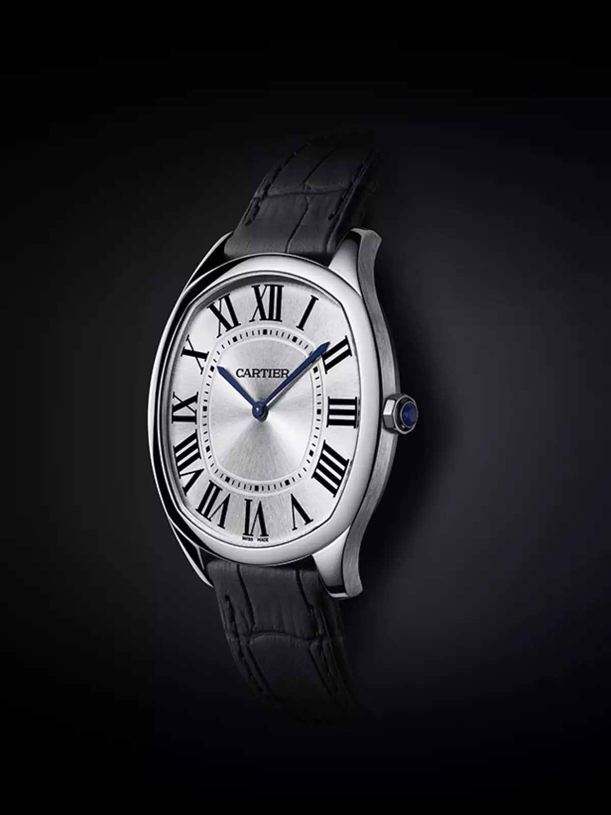 Cartier Drive de Cartier
