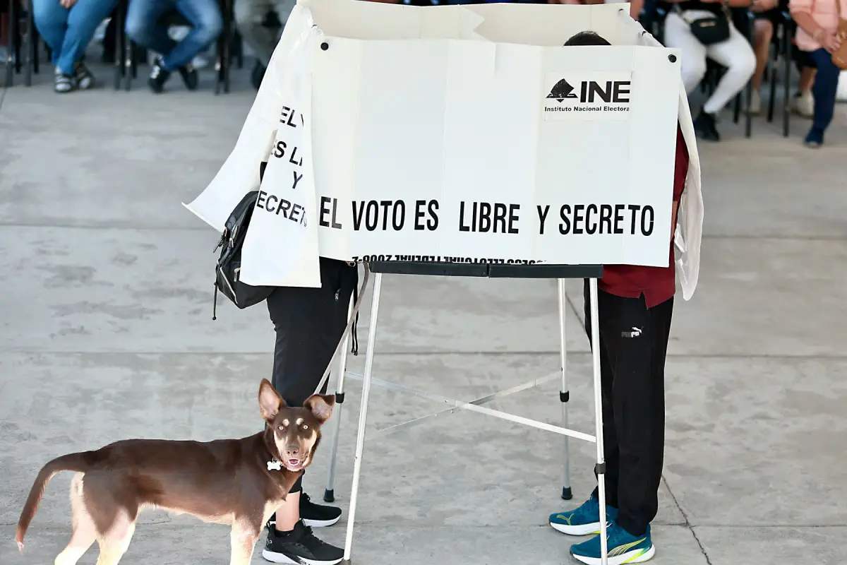 Casillas especiales para votar en la elección judicial: cómo ubicarlas