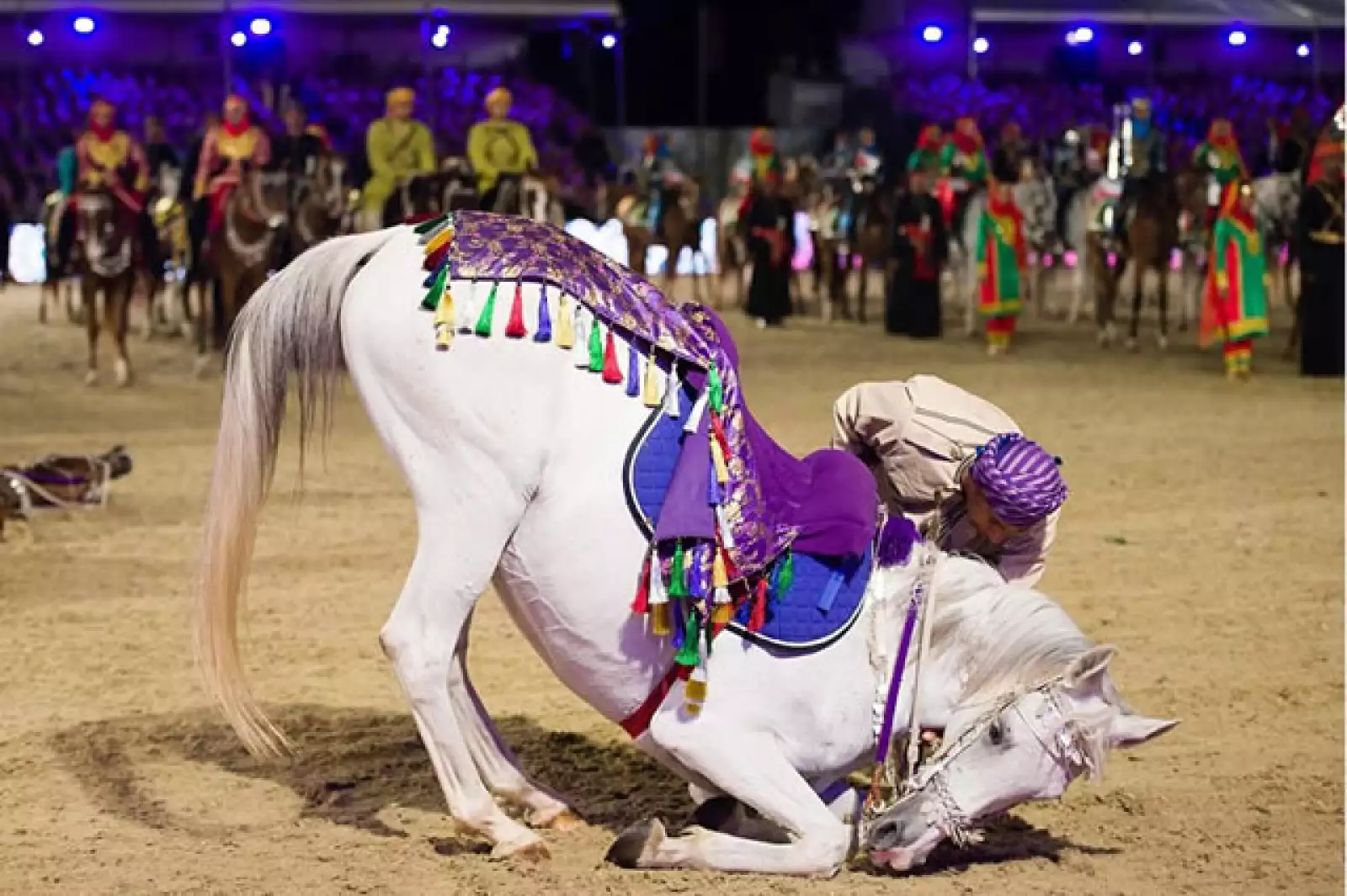 Y hasta un espectáculo de caballos danzantes.