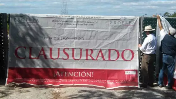 Profepa clausura obras de Dragon Mart en Quintana Roo