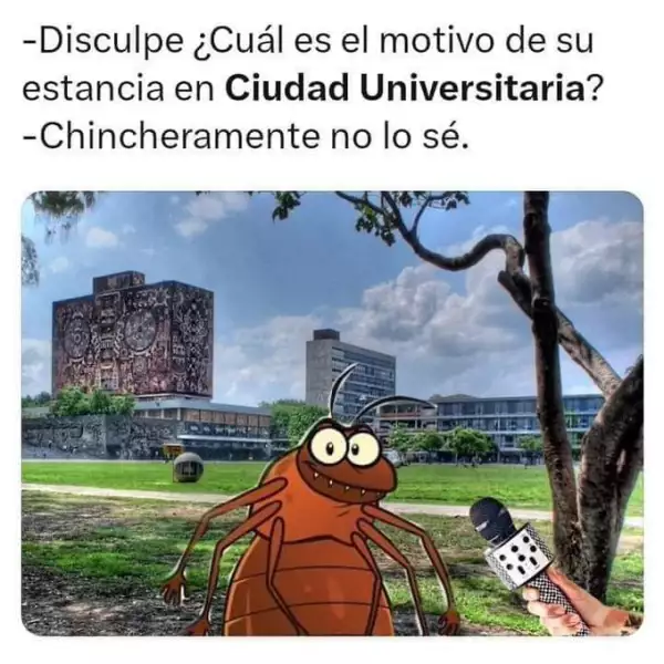 F7r_YkFXgAAPe5G.jpeg