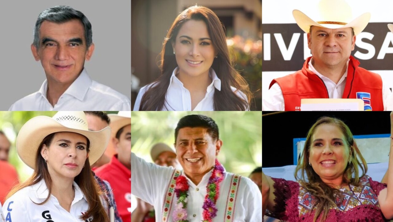 Elections 2022: 13 women and 12 men will seek to govern their state