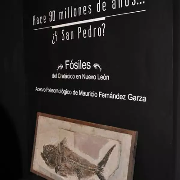 Inauguraci?el Museo El Centenario