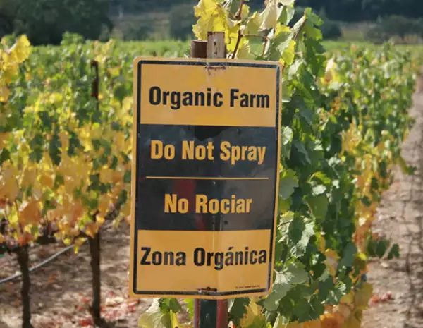 La comida en las granjas orgánicas no está expuesta a pesticidas y fertilizantes ni químicos.