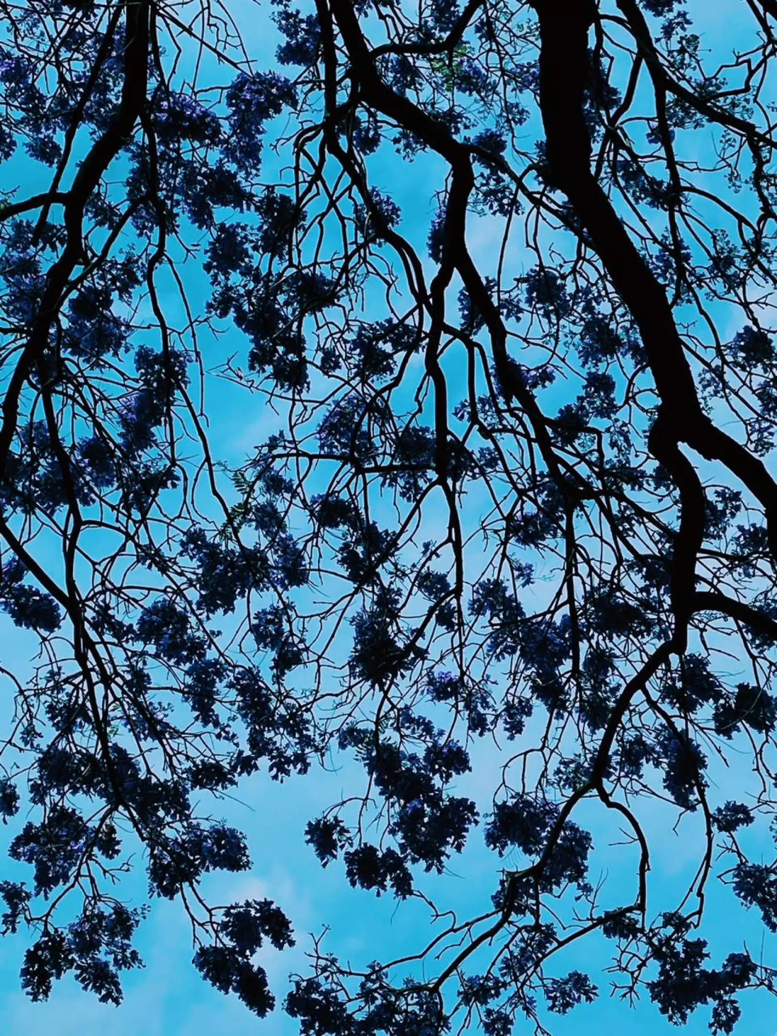 WhatsApp Image 2020-03-08 at 7.31.10 PM