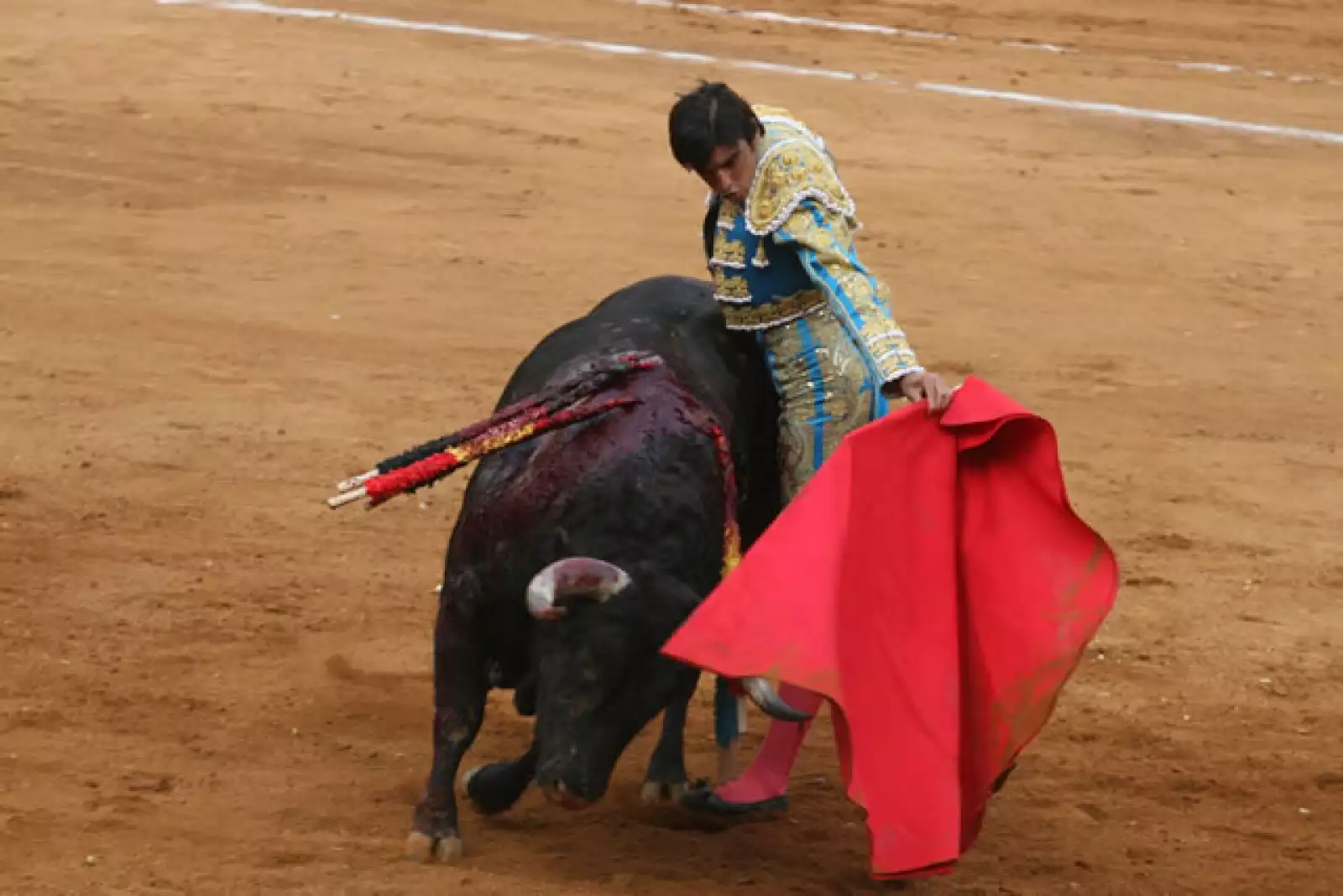 Corrida de Toros 15/02