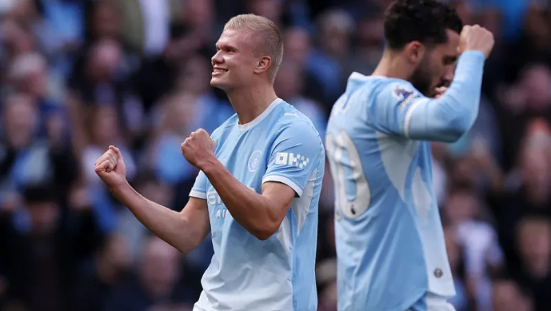 premier league erling haaland .png