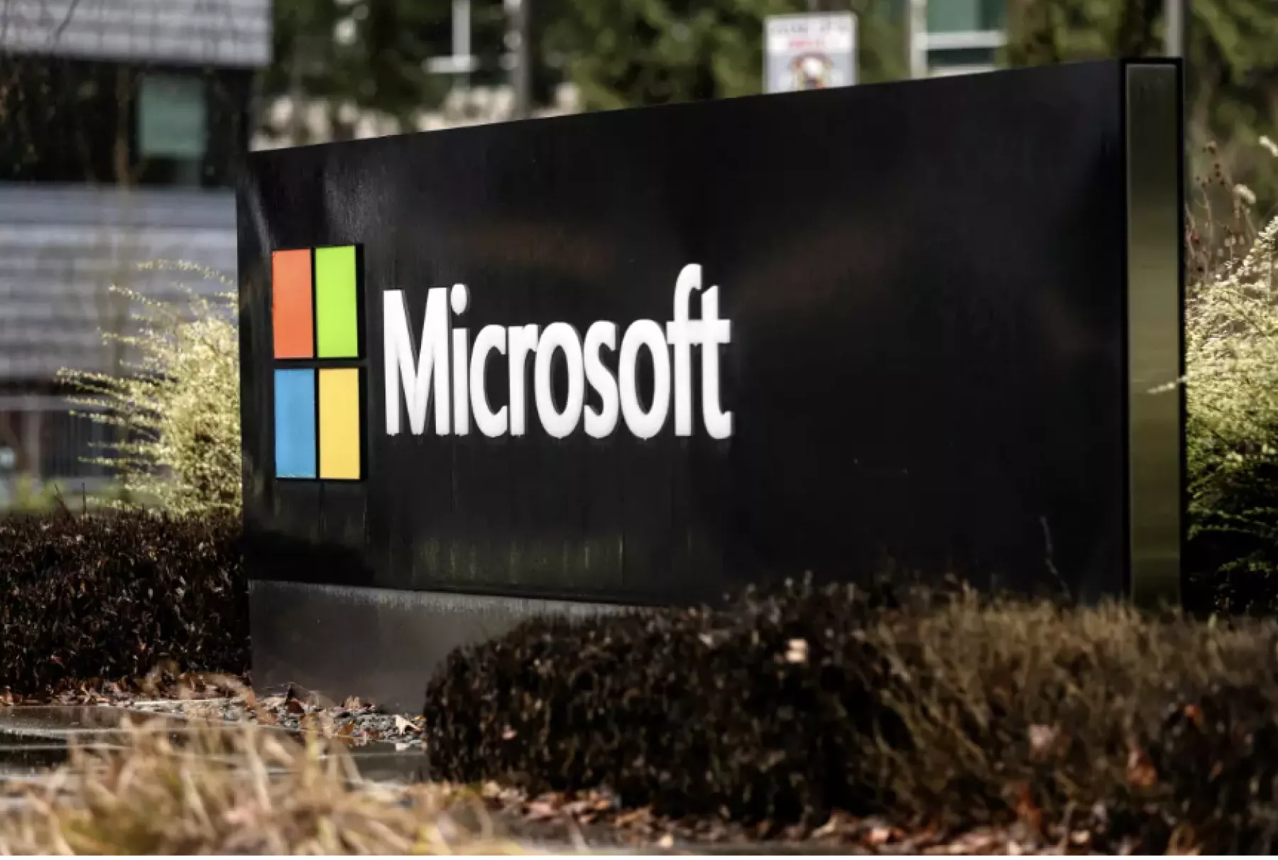 regreso oficinas microsoft