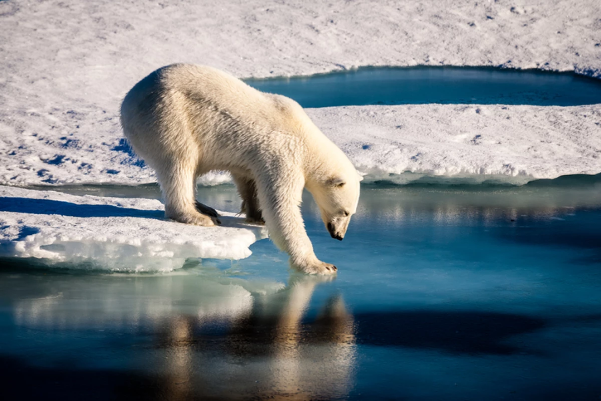 Hielo