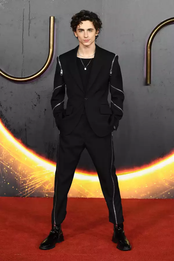 Timothée Chalamet en la premiere de Dune