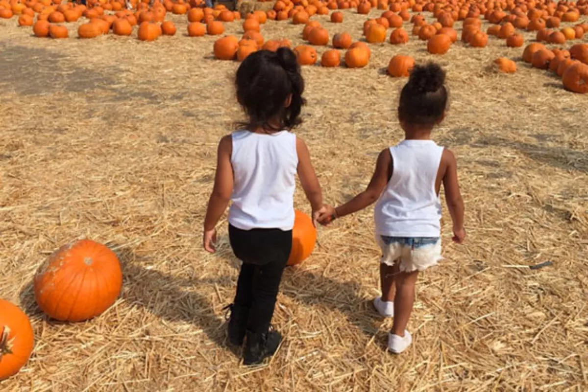 Las pequeñas se aventuraron para buscar la calabaza perfecta.