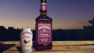 Botella de Jack Daniel’s Tennessee Blackberry y lata de Jack Daniel’s Blackberry Lemonade sobre una superficie de madera, con un paisaje arbolado y el cielo al atardecer como fondo.
