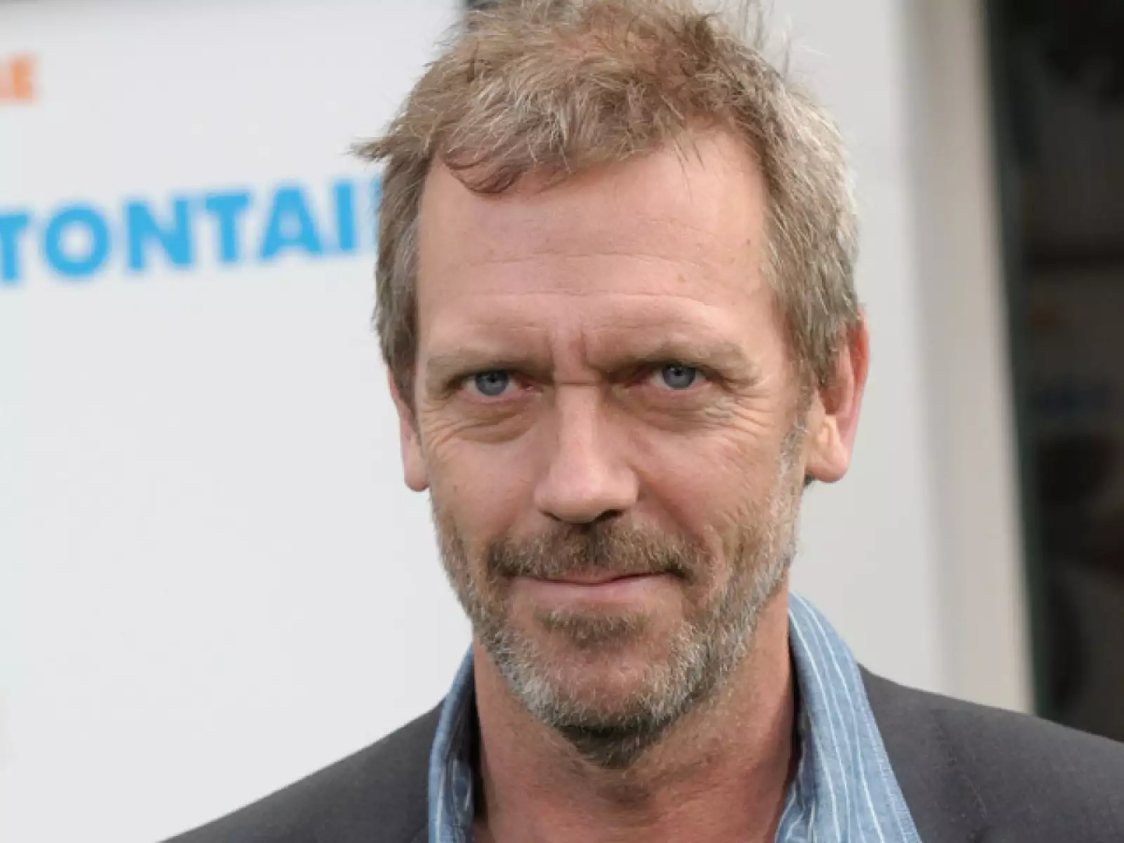 HUGH LAURIE. El protagonista de Dr. House tiene 52 años y aunque no tiene el pelo completamente gris, sus canas disimuladas le dan un toque sexy al actor.