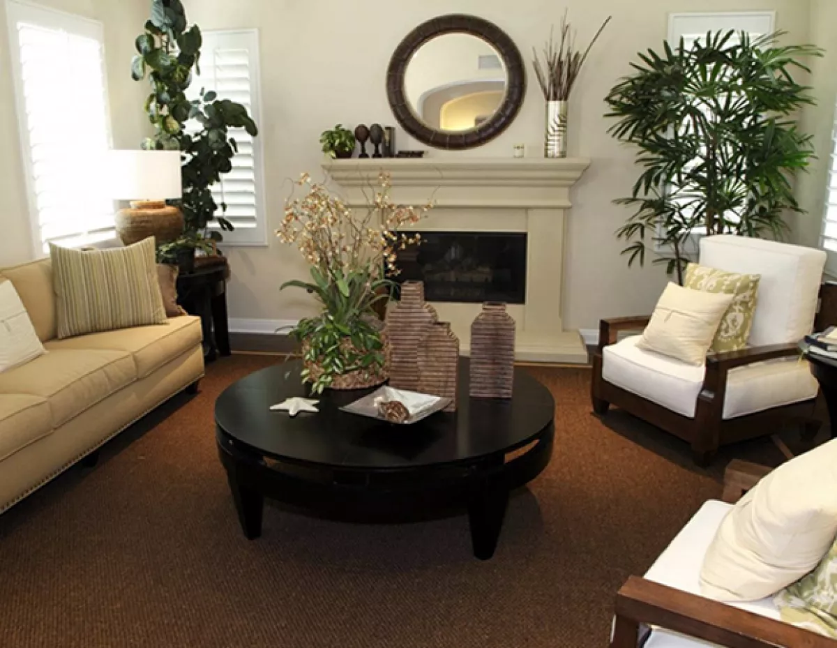 Las plantas ayudan al flujo de energía. Coloca plantas en tu sala, cocina y cuarto de estar.