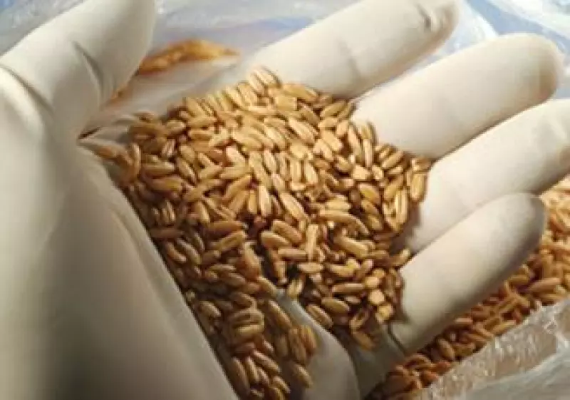 alimentos laboratorio