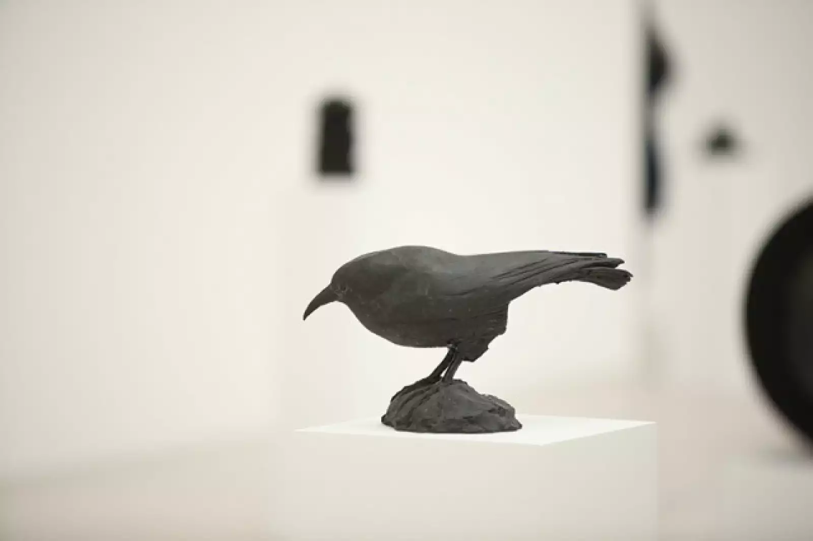 Museo Jumexexposicion CÃ³mo Trabajar Mejor de Peter Fischli David