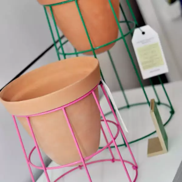 Opening de Lacoope Gallery