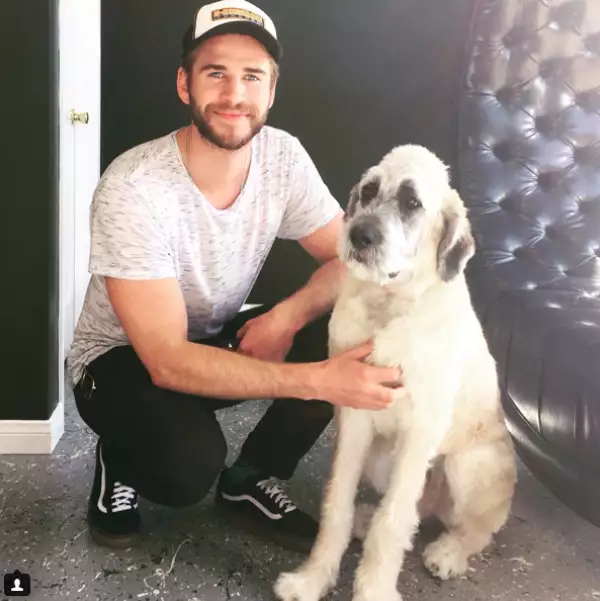 El actor adoptó a la perrita, a quien llamó Dora.
