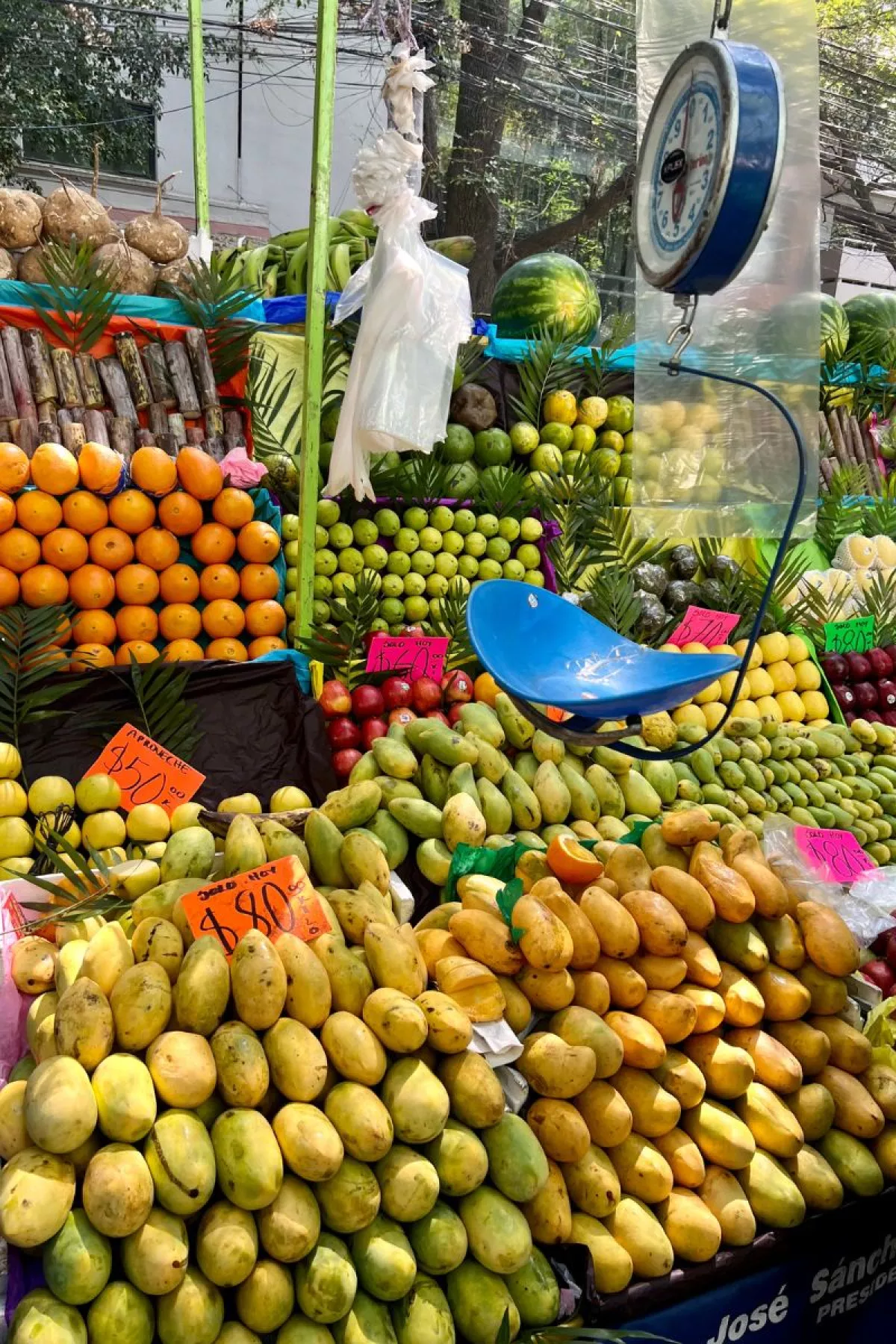 Tianguis de los sábados en Polanco Ciudad de México