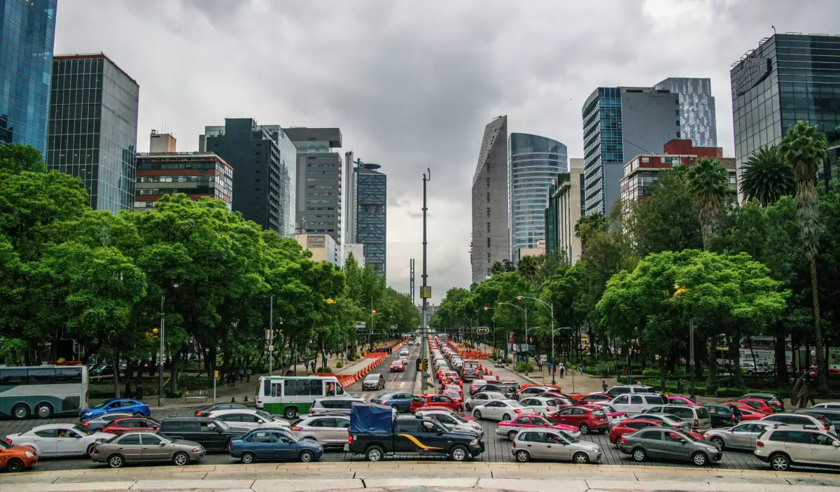 Hoy no circula en Navidad (Tráfico vahicular en Paseo de la reforma)