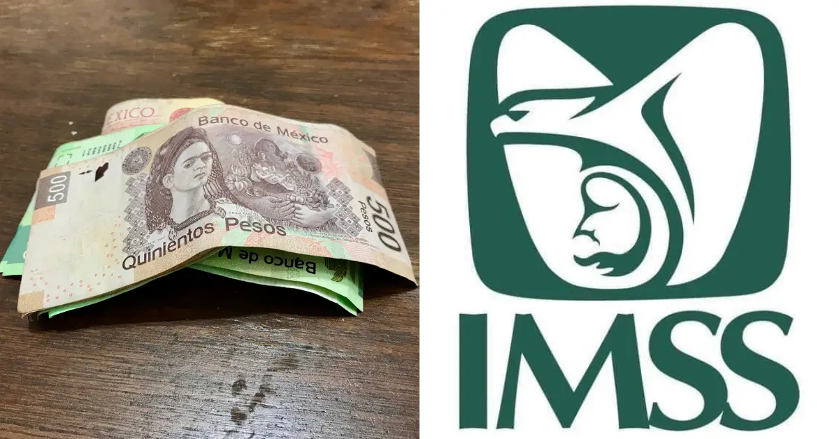 pension-imss-agosto-2024.jpg