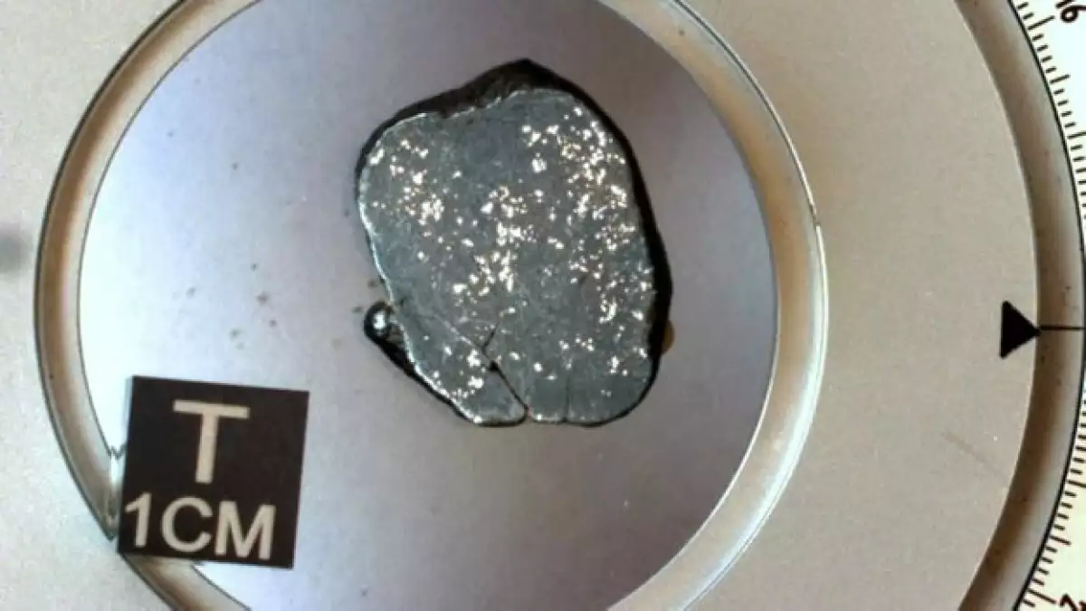 Un meteorito no alterado es estudiado