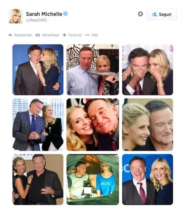 La actriz Sarah Michelle Gellar fue una de las últimas estrellas en compartir créditos con el actor cuando rodaron la serie `The Crazy Ones´, que el pasado mes de mayo se dio a conocer sería cancelada. Con este collage de imágenes expresó su adiós a su compañero de trabajo.