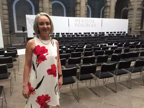 Gabriela Hernández es vocera de Méxicos Posibles y forma parte del equipo negociador del TLCAN.