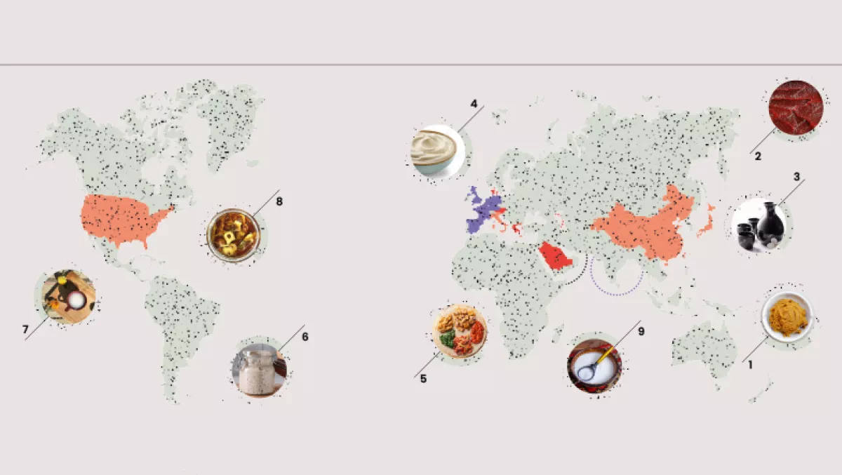 almentos fermentados más consumidos en el mundo
