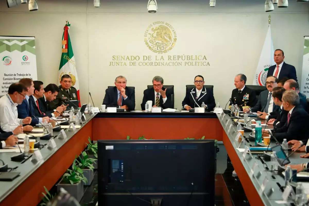 comisión bicameral.jpeg