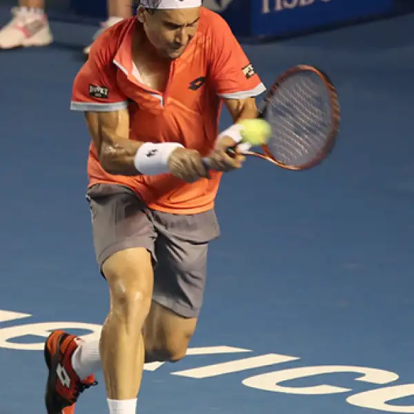 David Ferrer