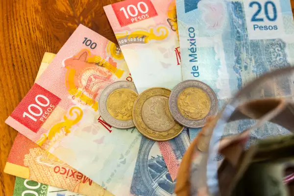 cotizar-con-el-minimo-imss