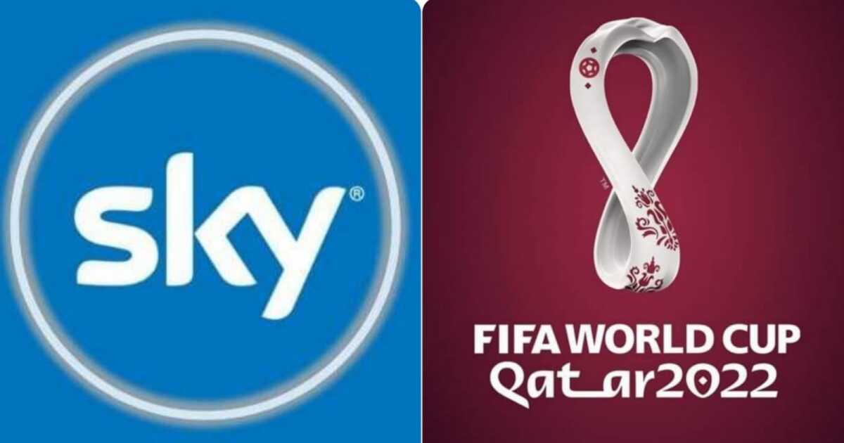 Sky bets on the exclusivity of Qatar 2022 and an MVNO to recover users Sky bets on the exclusivity of Qatar 2022 and an MVNO to recover users