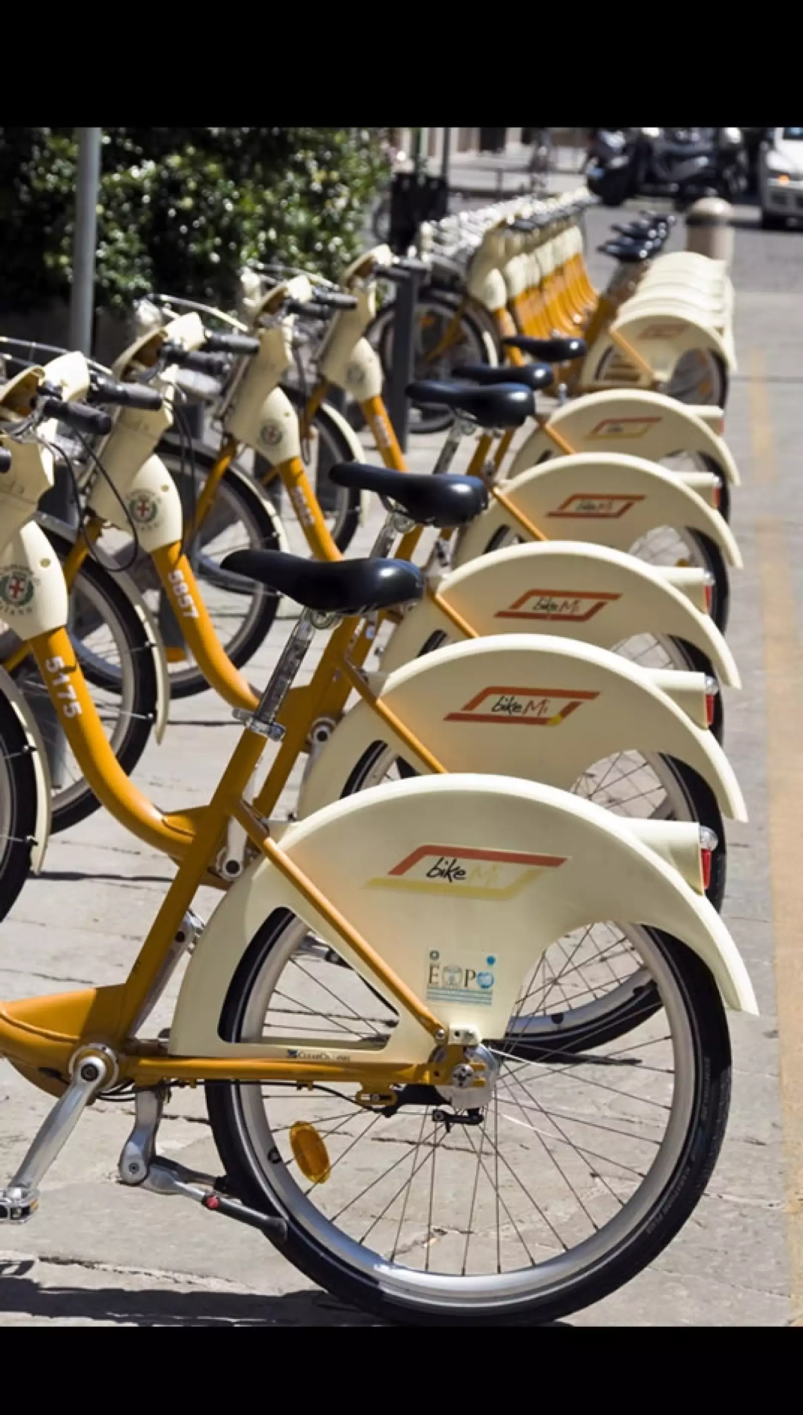 sistema de transporte de bicicletas