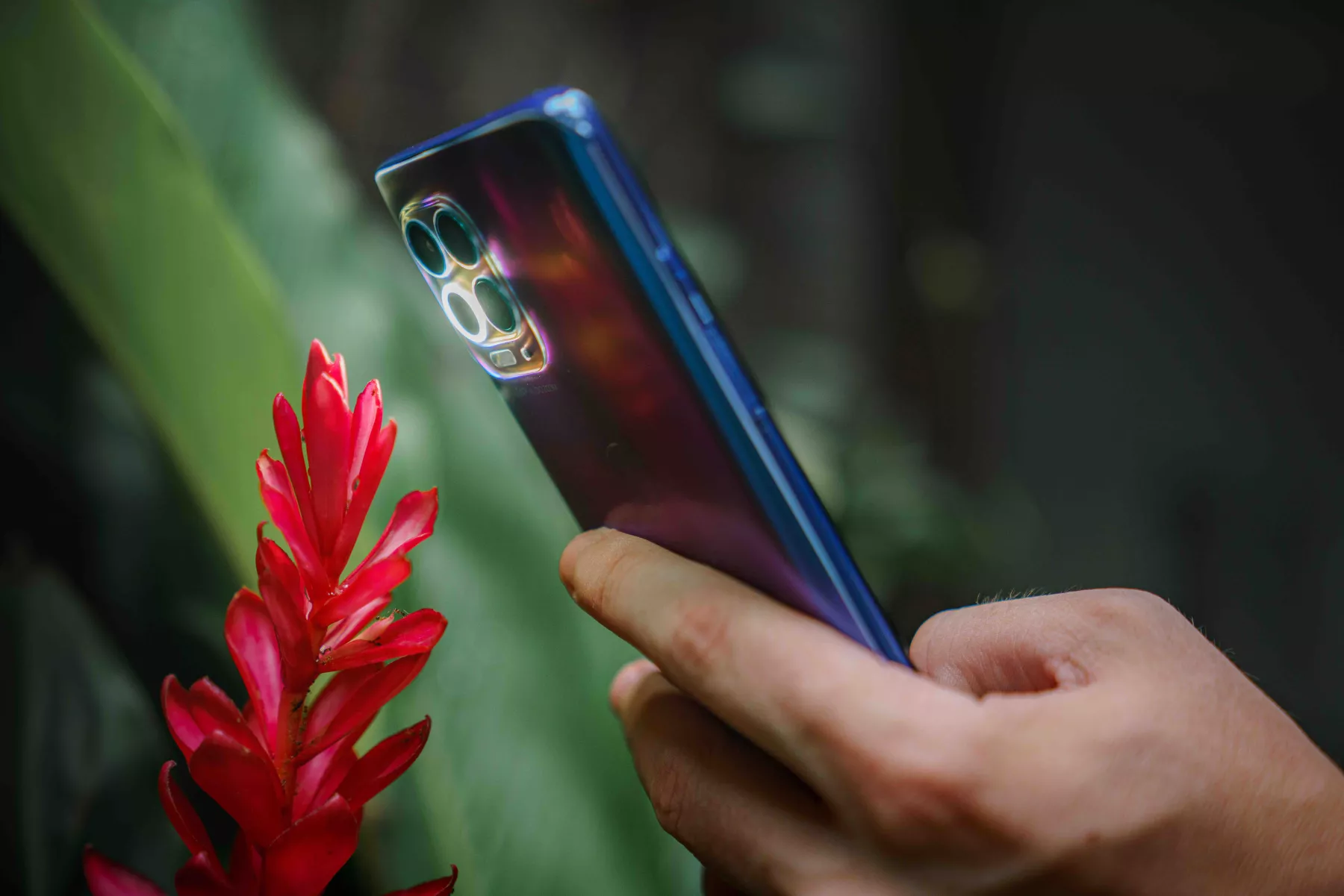 Motorola lanza moto g100