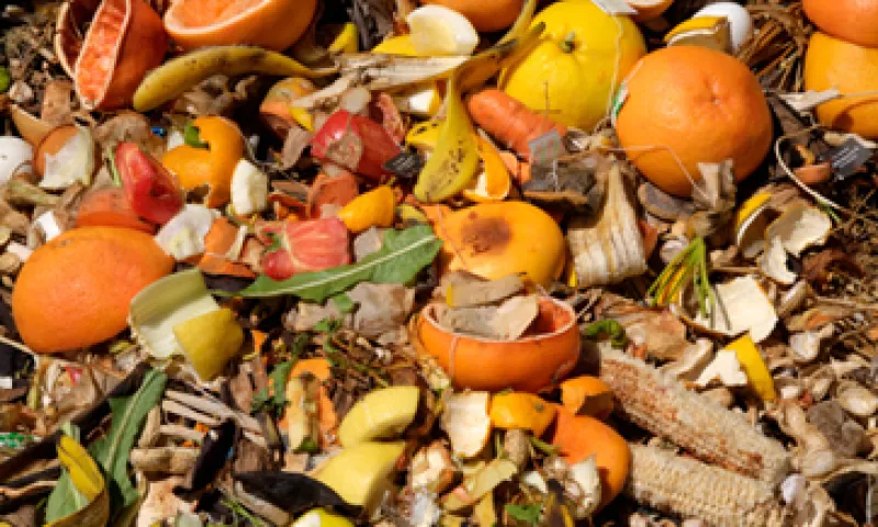 La FAO dijo que con los alimentos que desperdician las zonas insdustrializadas, se podría alimentar a una parte de África. (Foto: Getty Images)