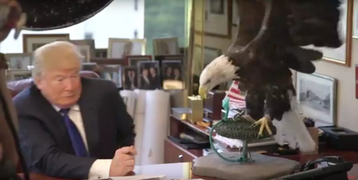 El empresario se encontraba en una sesión de fotos para la revista Time en la que posaba con el ave, sin embargo se veía que el águila no la estaba pasando nada bien.