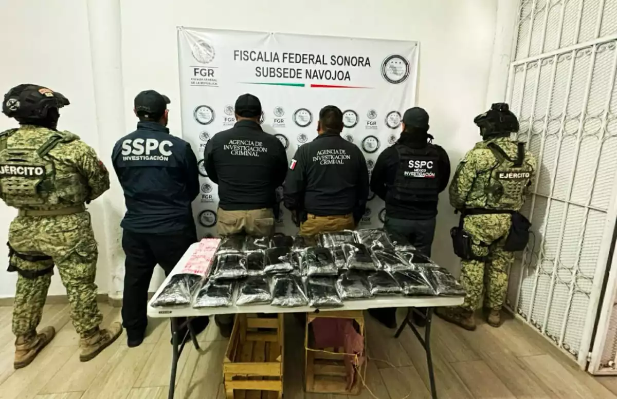 fentanilo - cargamento - nopales -sonora
