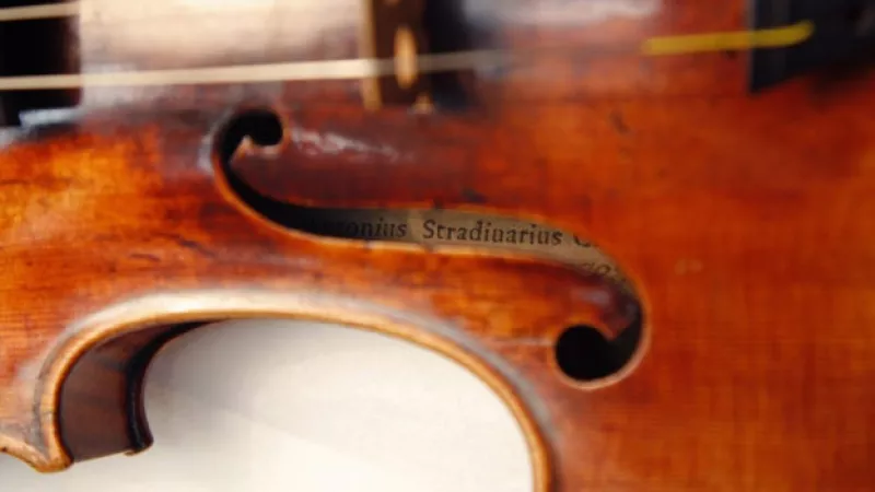 violin