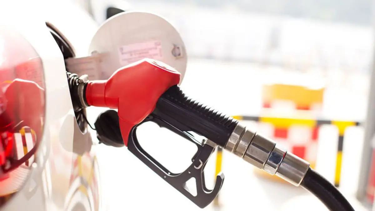 Gasolina