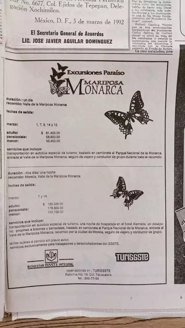 How much have prices risen in Mexico in the last 30 years? monarch-butterfly-excursions.jpeg